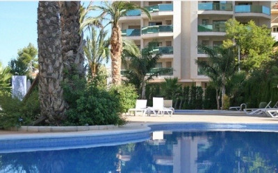 Appartement - Nieuwbouw - Calpe - La Calalga