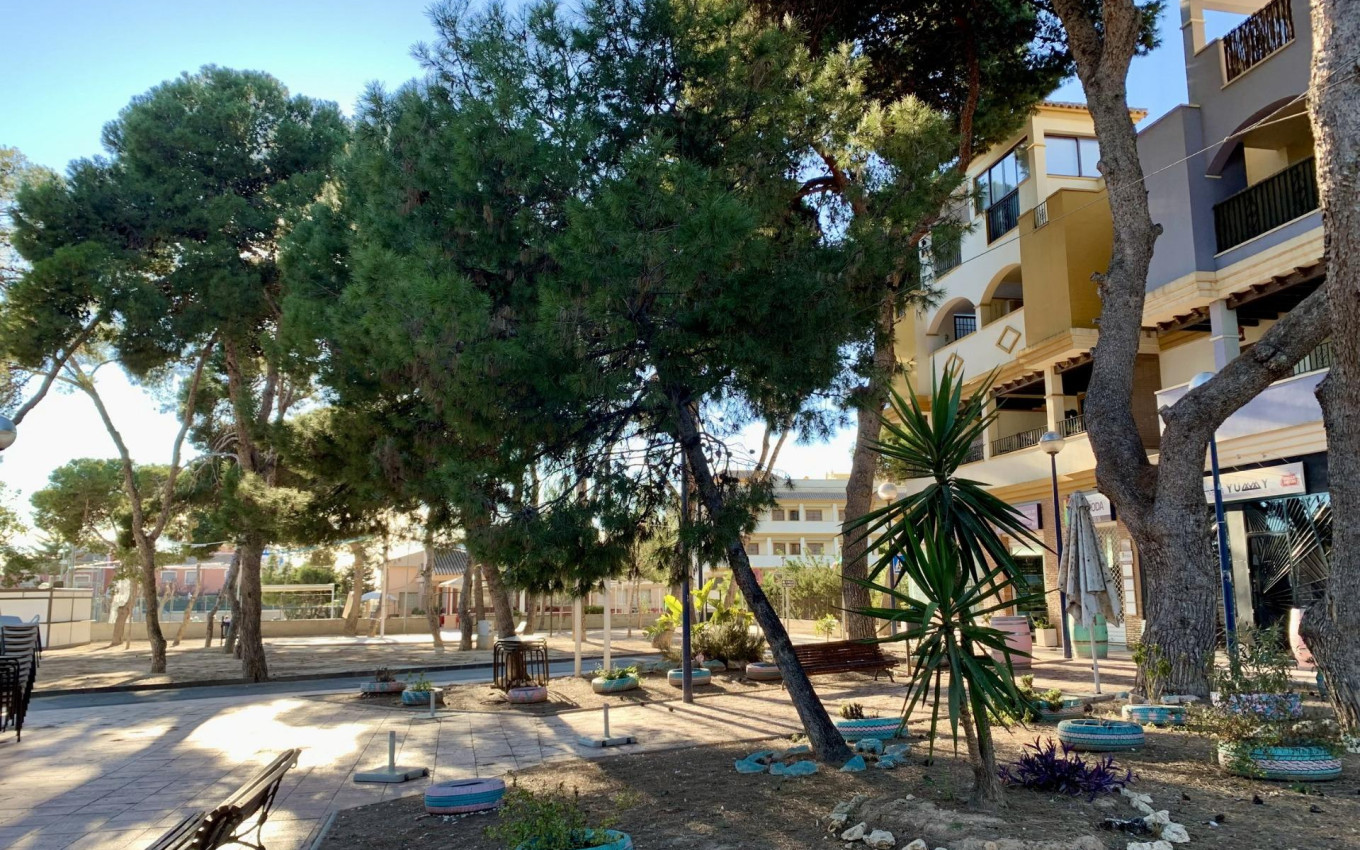 New Build - Apartment - San Javier - Roda Golf