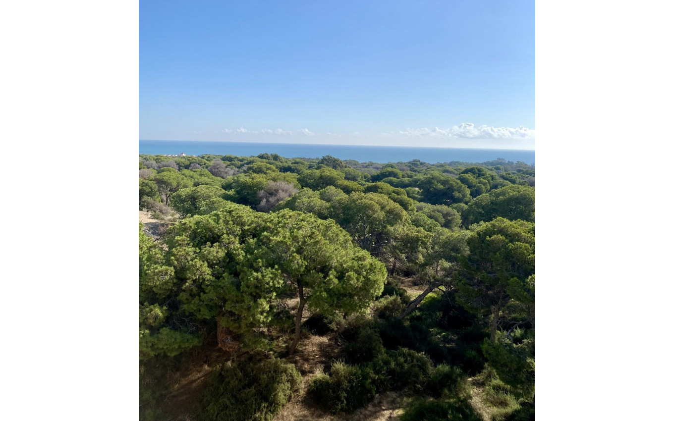 New Build - Penthouse - Guardamar del Segura - CENTRO