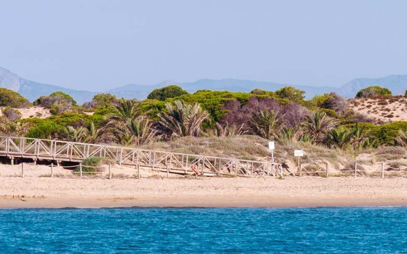 New Build - Penthouse - Guardamar del Segura - Pueblo