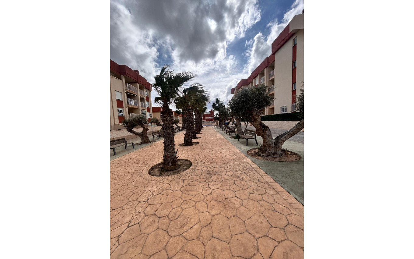 New Build - Penthouse - Orihuela Costa - Lomas de Cabo Roig