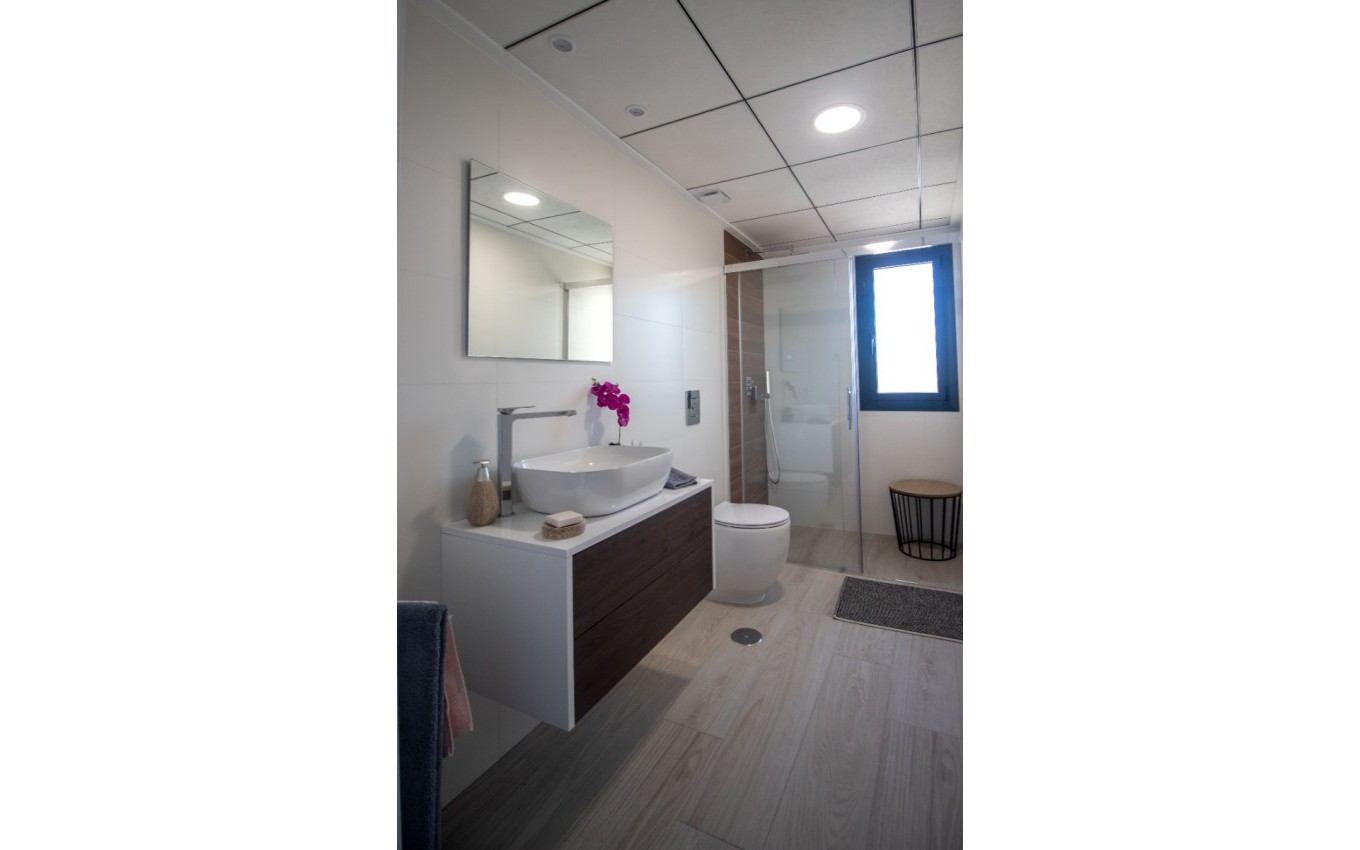 New Build - Villa - Algorfa - La Finca