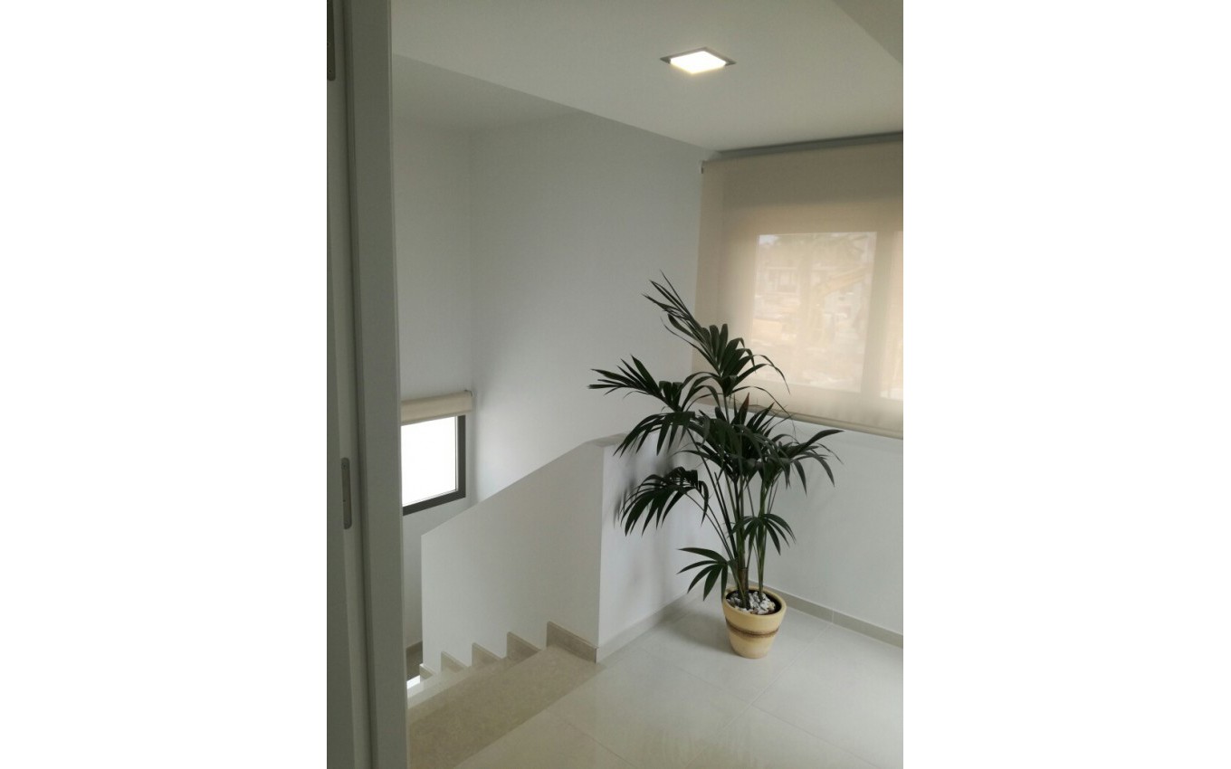 New Build - Villa - Orihuela Costa - Villamartín