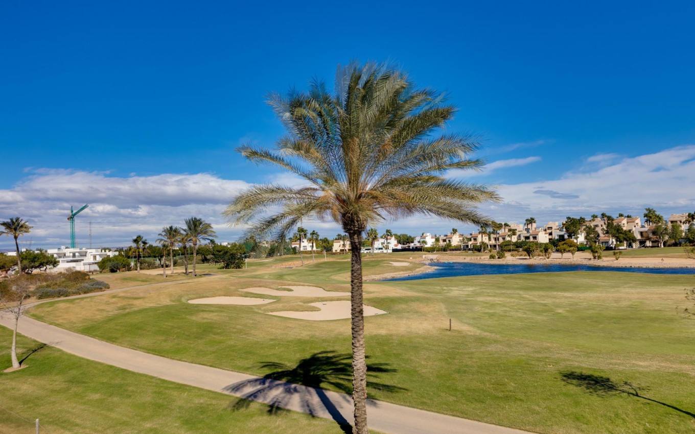 New Build - Villa - Pilar de la Horadada - Lo Romero Golf