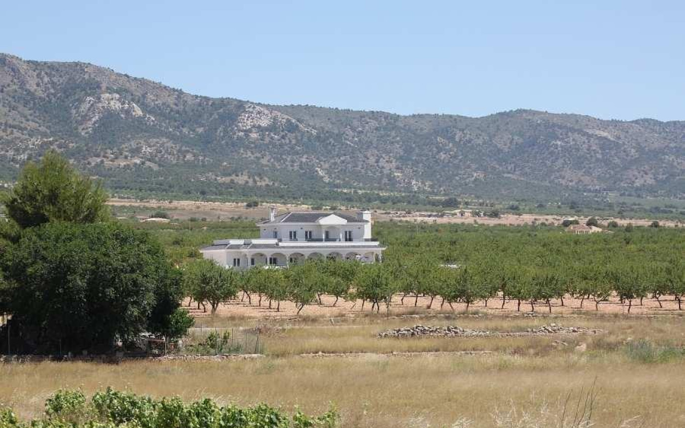 New Build - Villa - Pinoso - Camino Del Prado