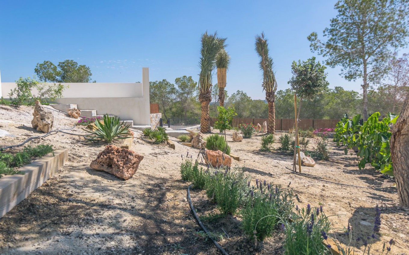 New Build - Villa - San Miguel de Salinas - Las Colinas Golf & Country Club