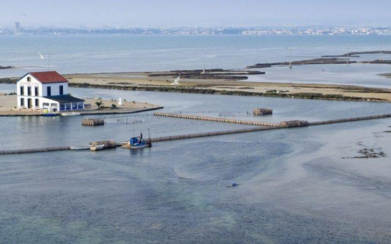 New Build - Villa - San Pedro del Pinatar - CENTRO