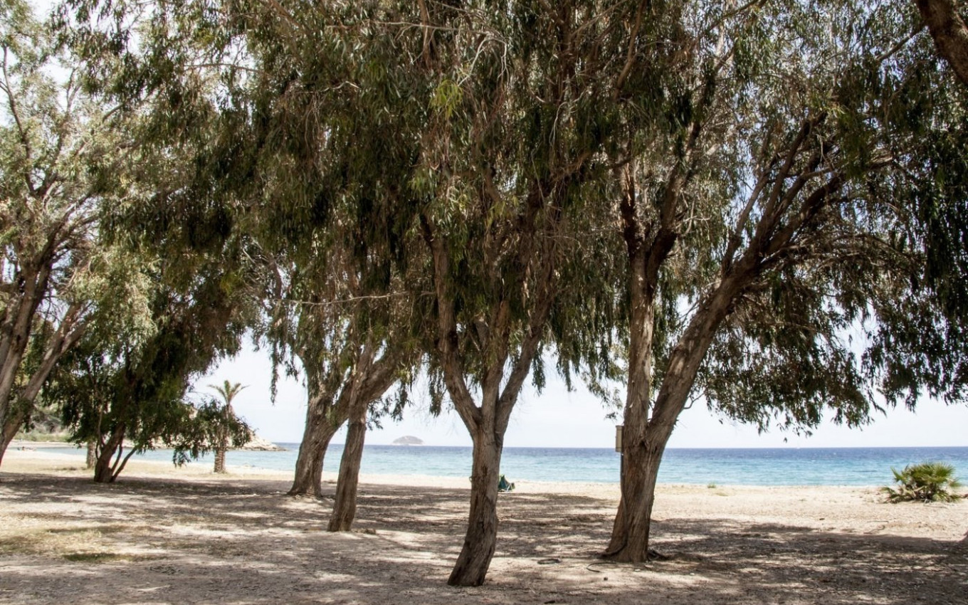 Nieuwbouw - Appartement - Villajoyosa - Playa Les Torres