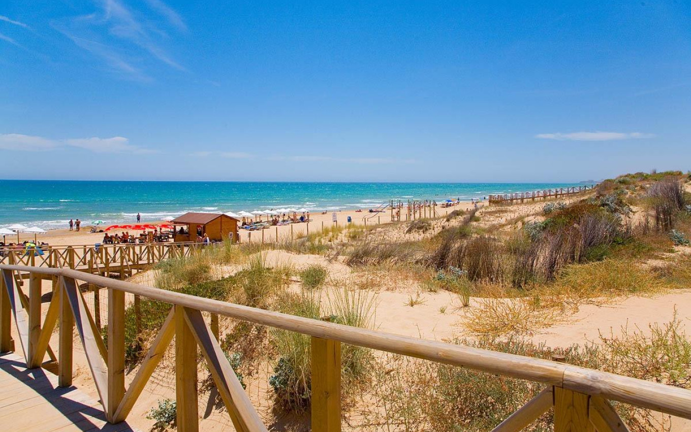 Nieuwbouw - Penthouse - Guardamar del Segura - Pueblo