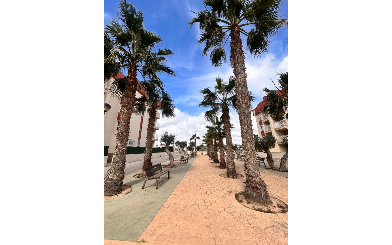 Nieuwbouw - Penthouse - Orihuela Costa - Lomas de Cabo Roig