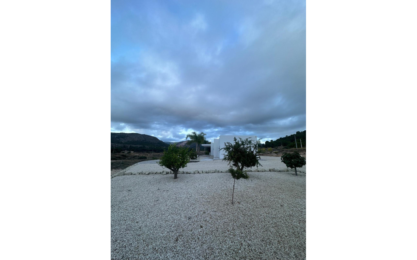 Nieuwbouw - Villa - Pinoso - Casas Pastor