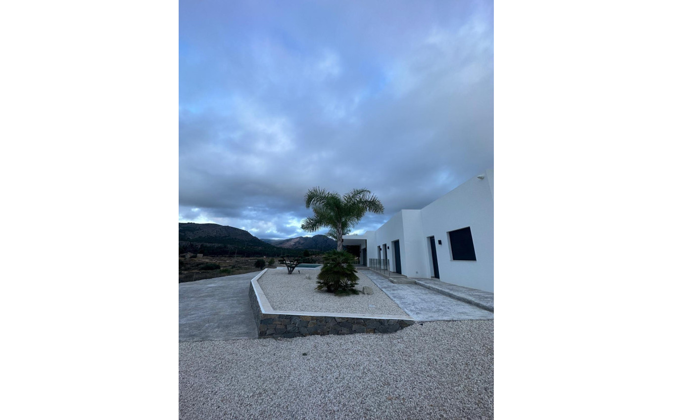 Nieuwbouw - Villa - Pinoso - Casas Pastor