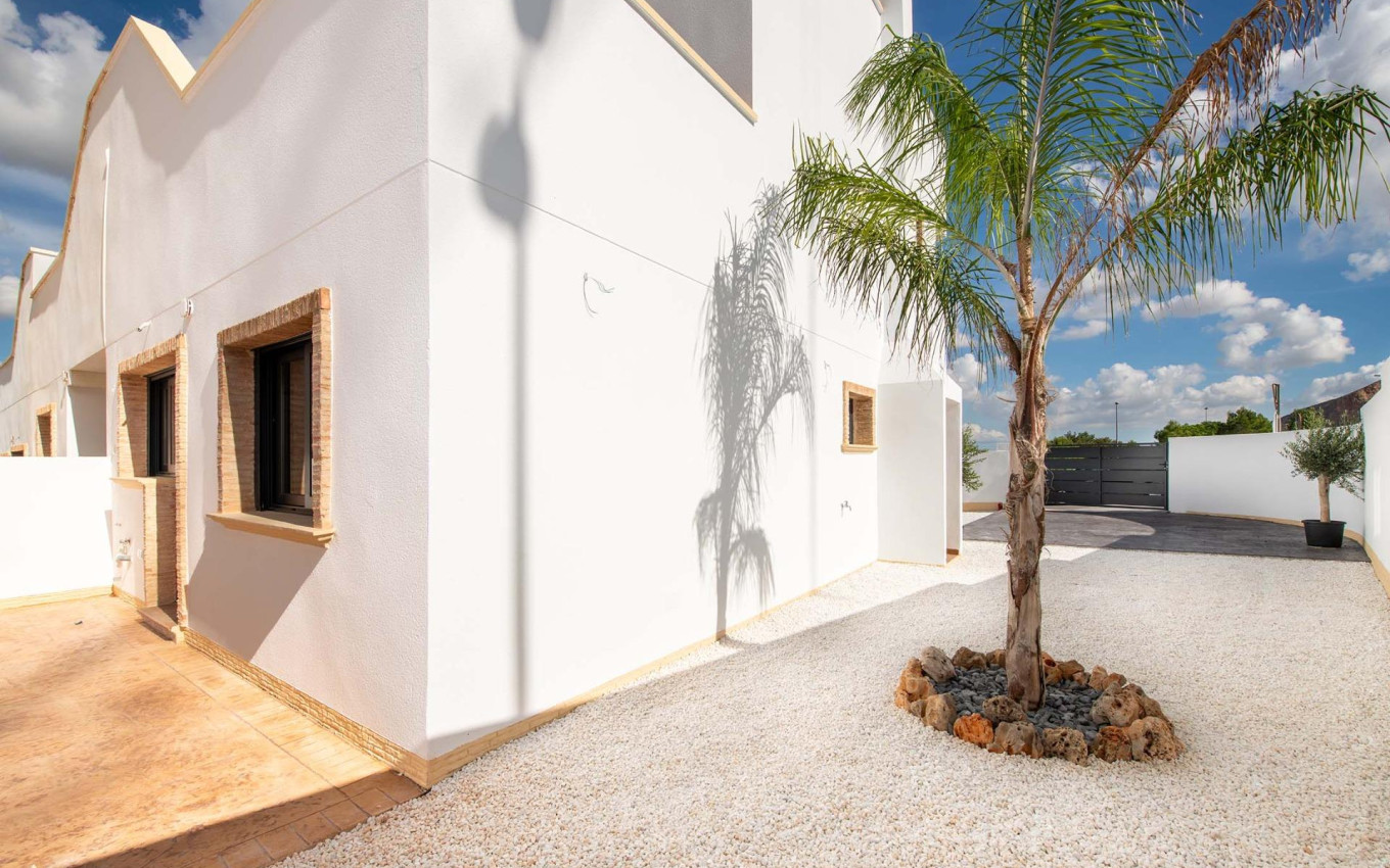 Nouvelle construction - Appartement - Cox - San Fernando