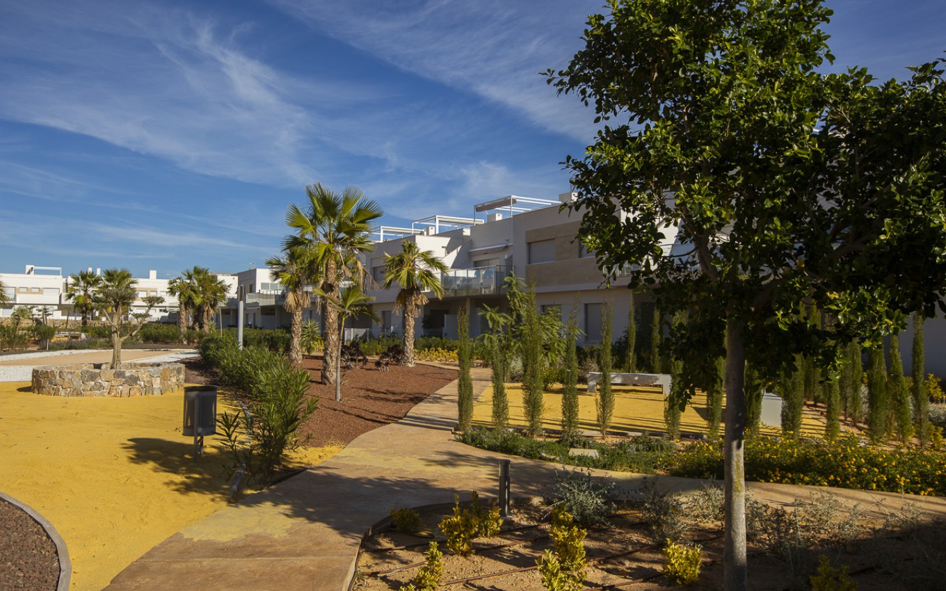 Nouvelle construction - Appartement - Los Montesinos