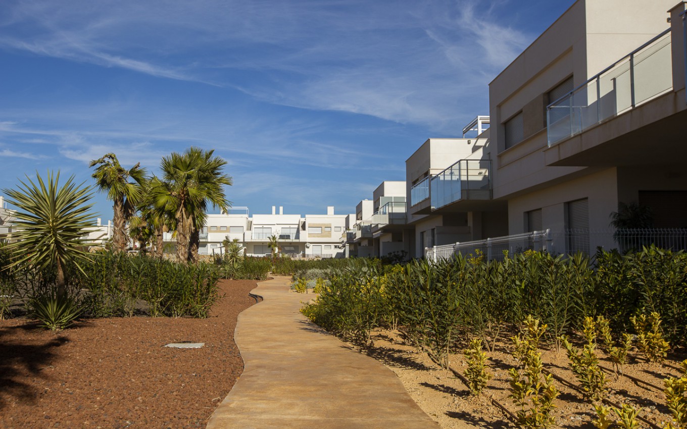 Nouvelle construction - Appartement - Los Montesinos