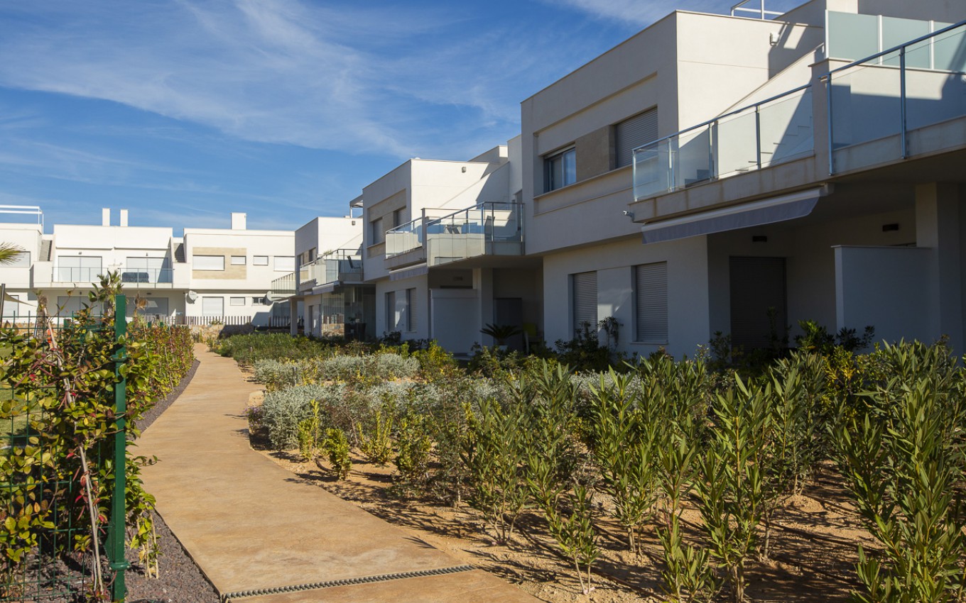 Nouvelle construction - Appartement - Los Montesinos