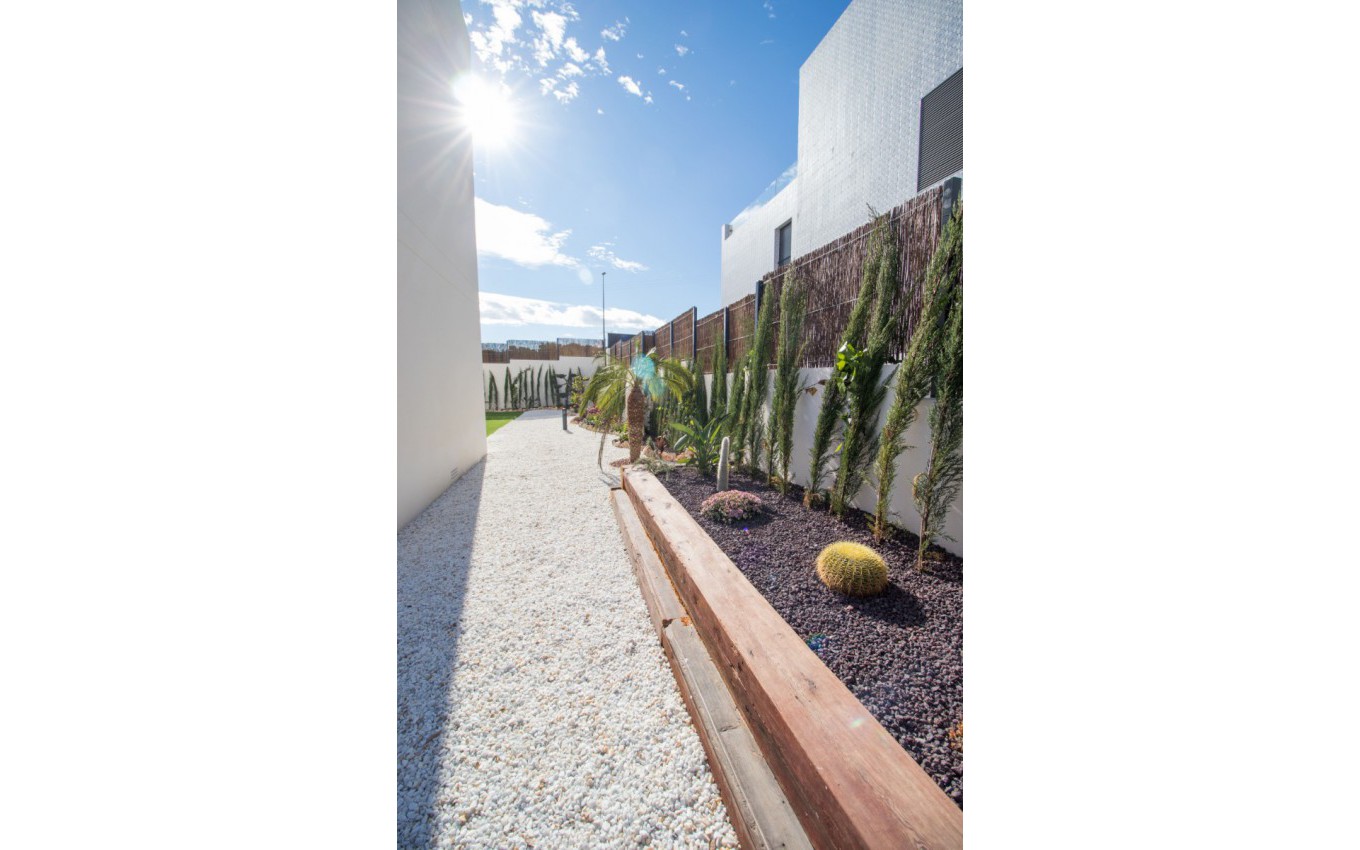 Nouvelle construction - Appartement - San Miguel de Salinas