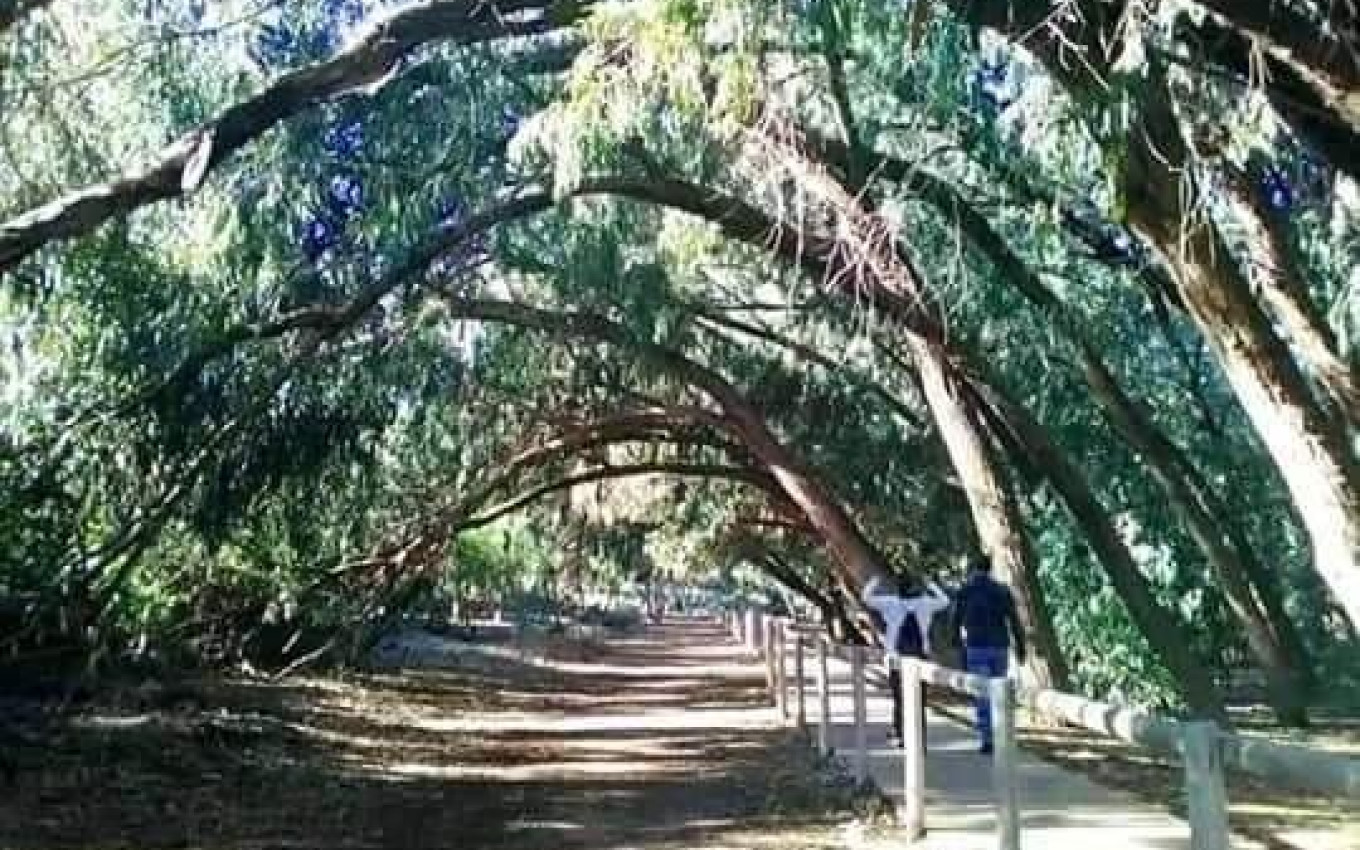 Nouvelle construction - Appartement - Torrevieja - Altos del Sol