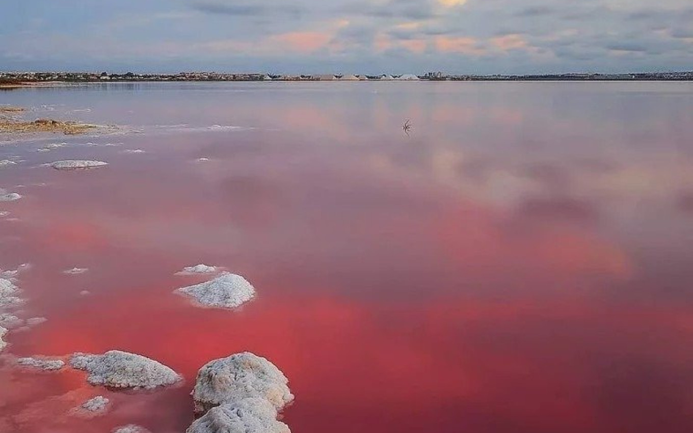 Nouvelle construction - Appartement - Torrevieja - Lago Jardín II