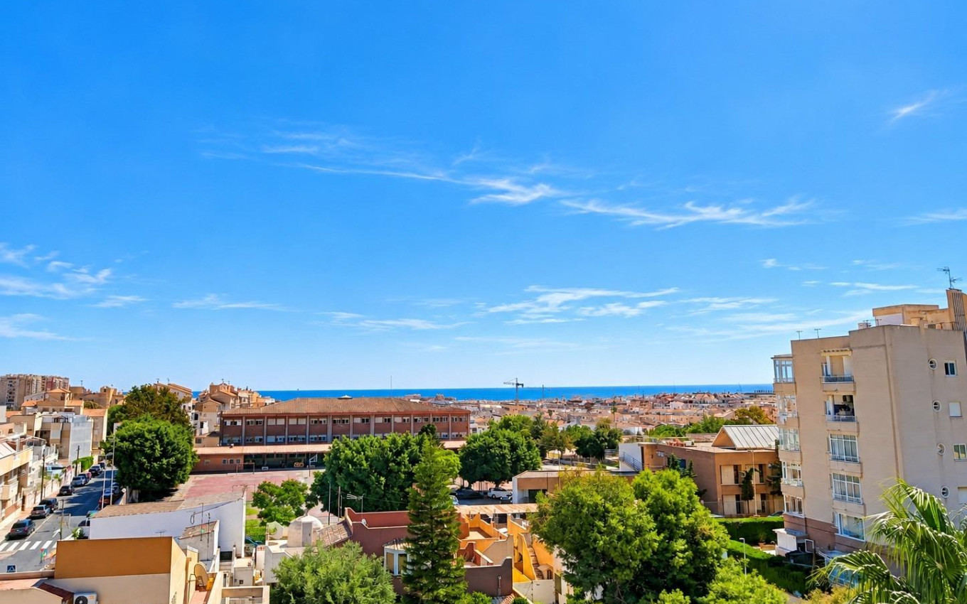 Nouvelle construction - Appartement - Torrevieja - Nueva Torrevieja