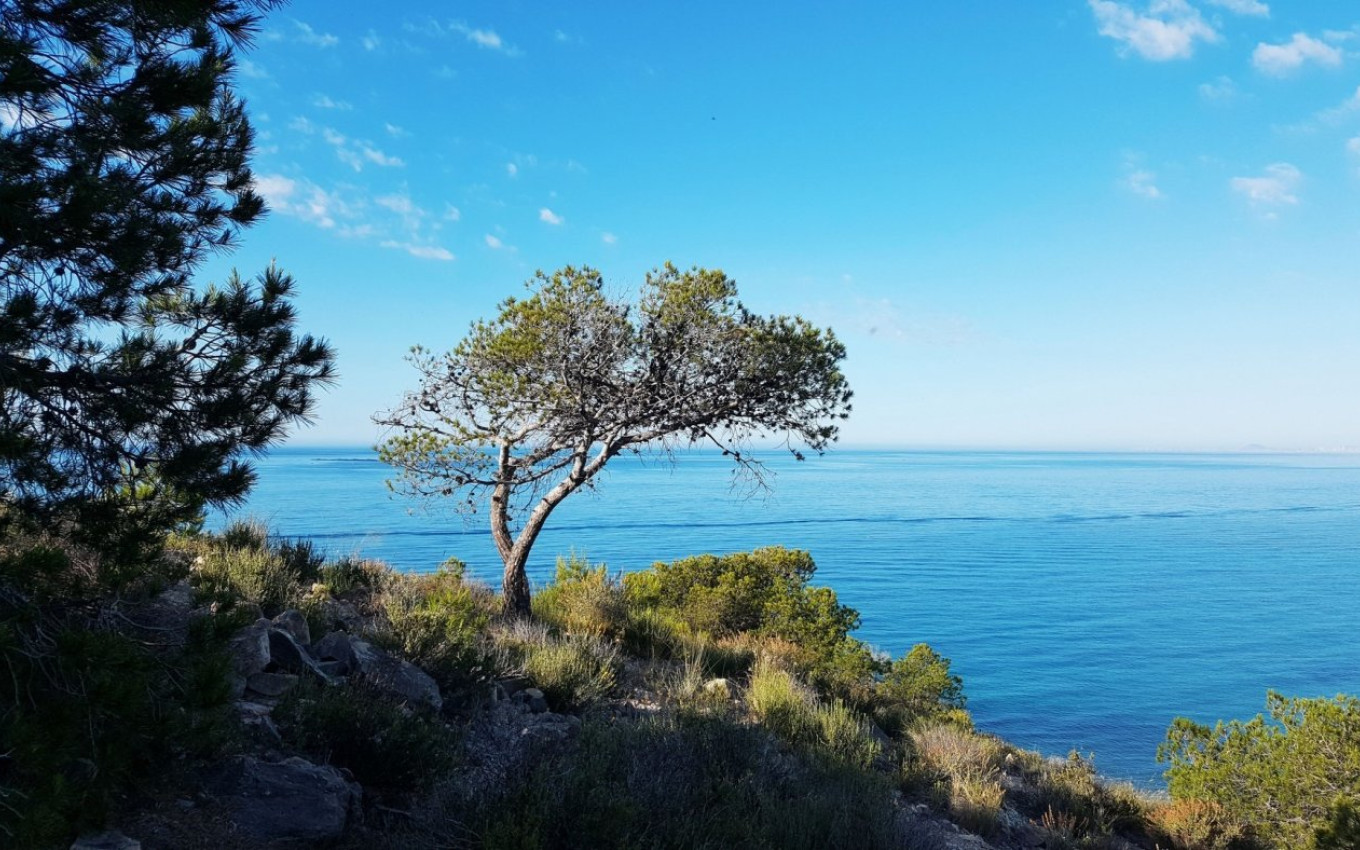 Nouvelle construction - Appartement - Villajoyosa - Playa Les Torres