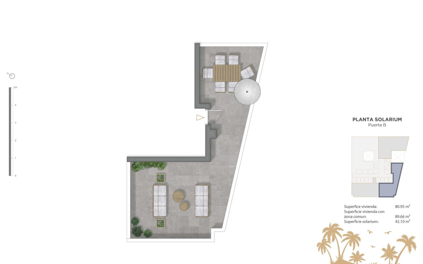 Nouvelle construction - Penthouse - Guardamar del Segura - Pueblo