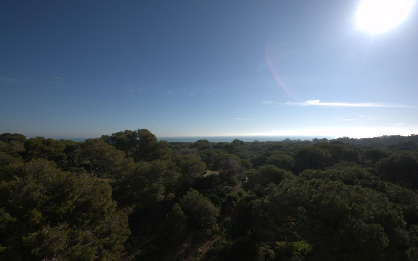 Nouvelle construction - Penthouse - Guardamar del Segura - Pueblo
