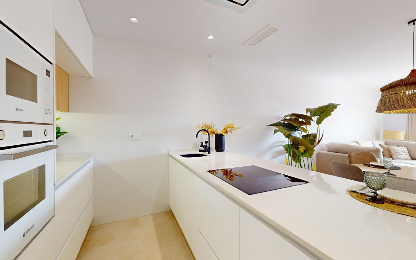 Nouvelle construction - Penthouse - Pilar de la Horadada - Lo Monte