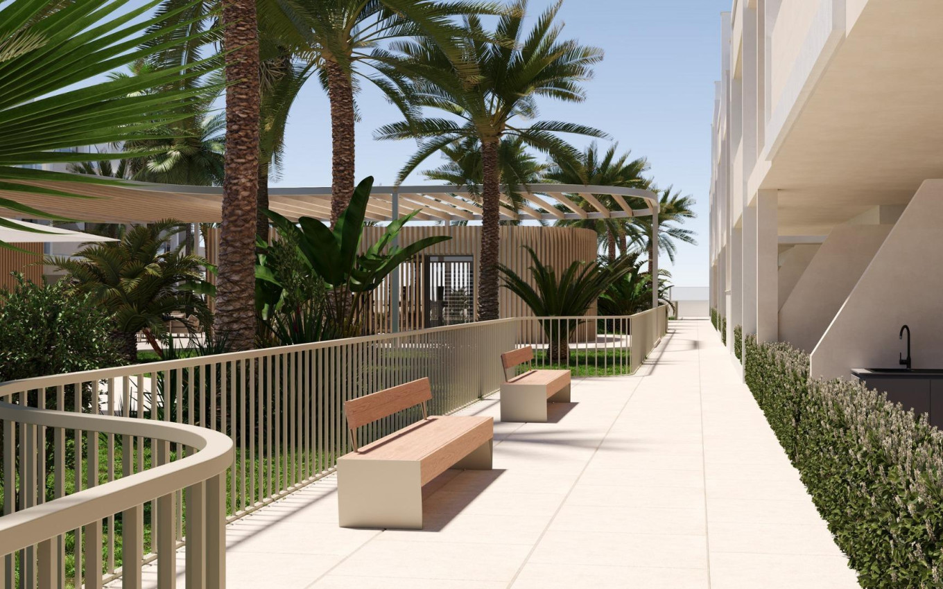 Nouvelle construction - Penthouse - Torre Pacheco - San Cayetano