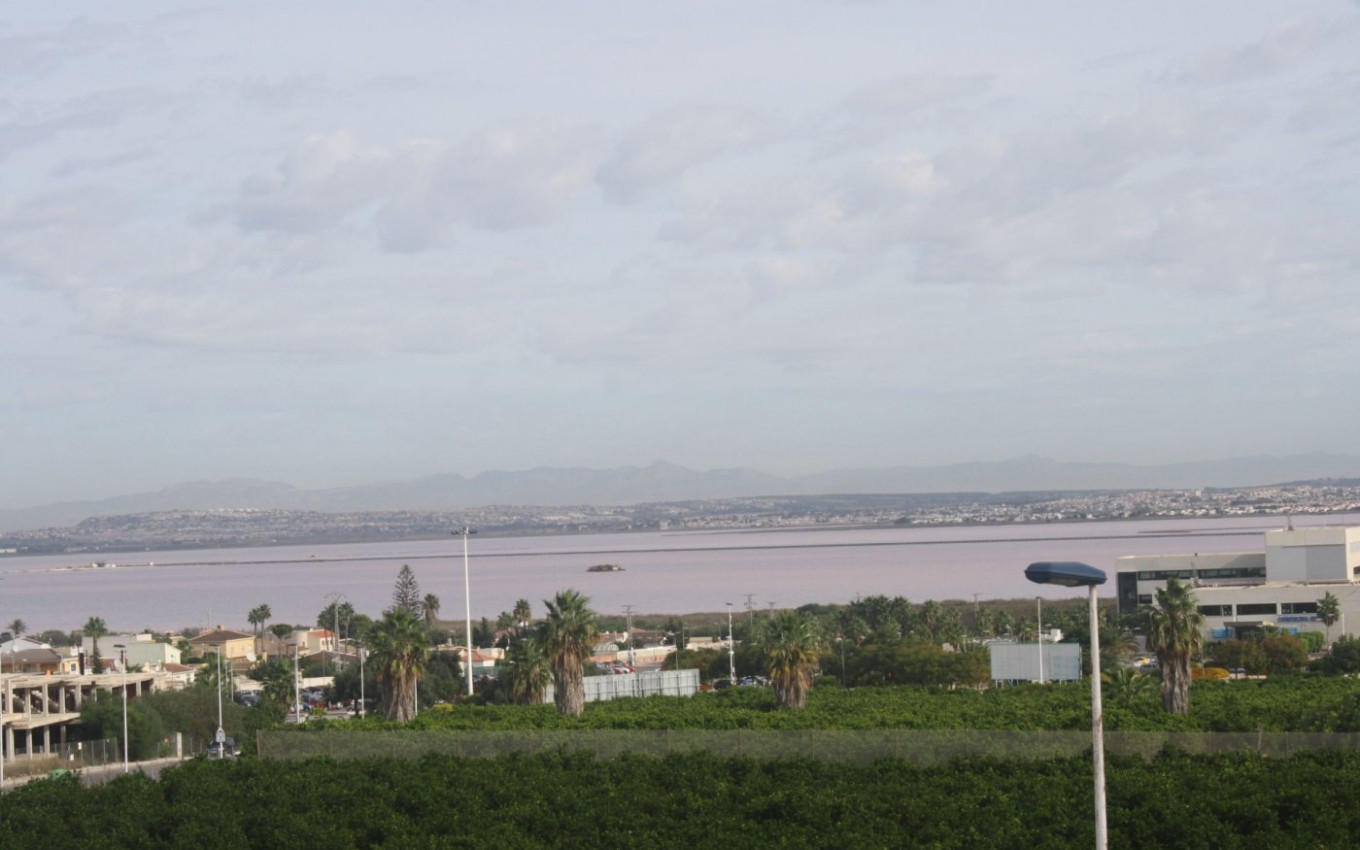 Nouvelle construction - Town House - Torrevieja - Los altos