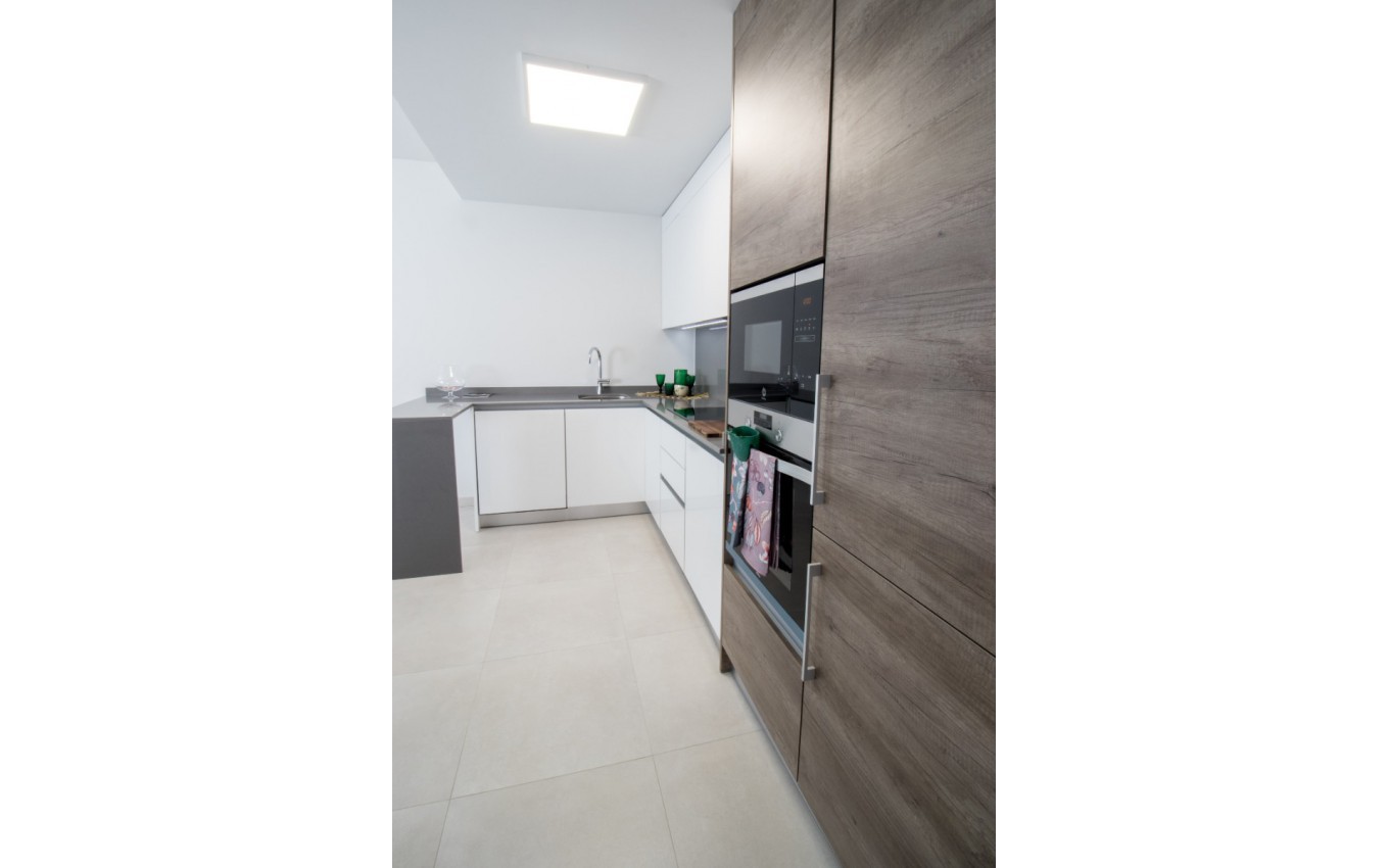 Nouvelle construction - Villa - Algorfa - La Finca