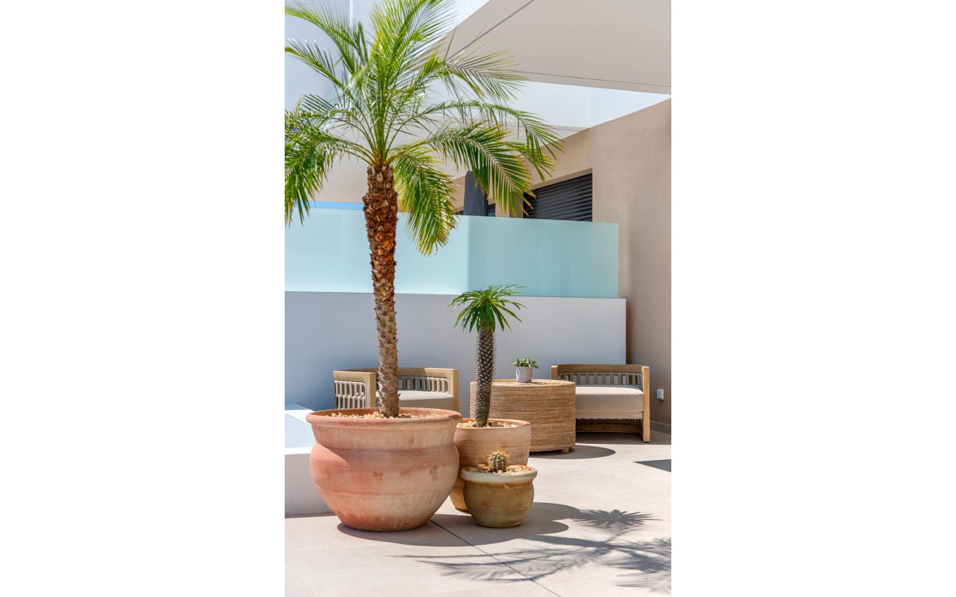 Nouvelle construction - Villa - Dolores - Sector 3