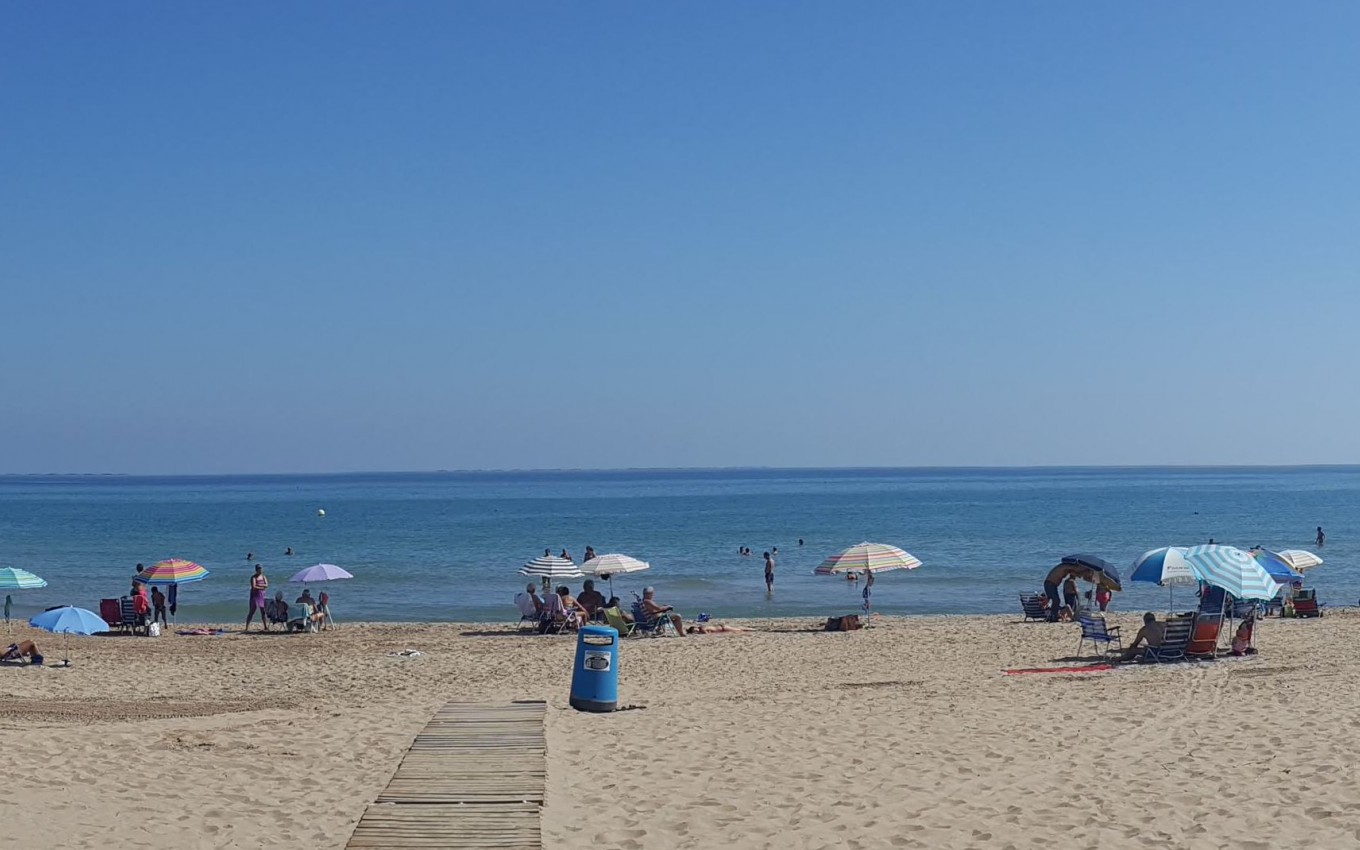 Nouvelle construction - Villa - Guardamar del Segura