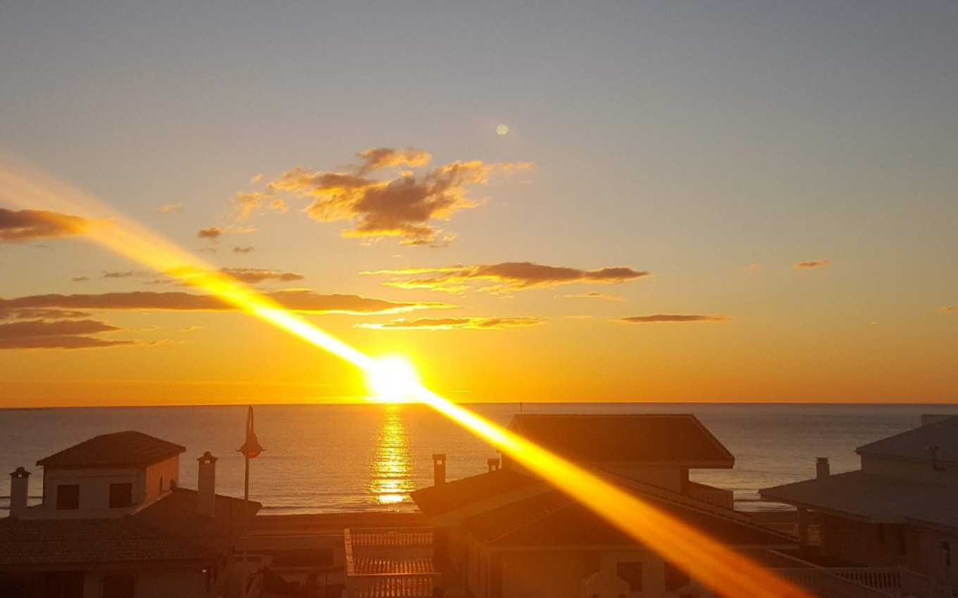 Nouvelle construction - Villa - Guardamar del Segura