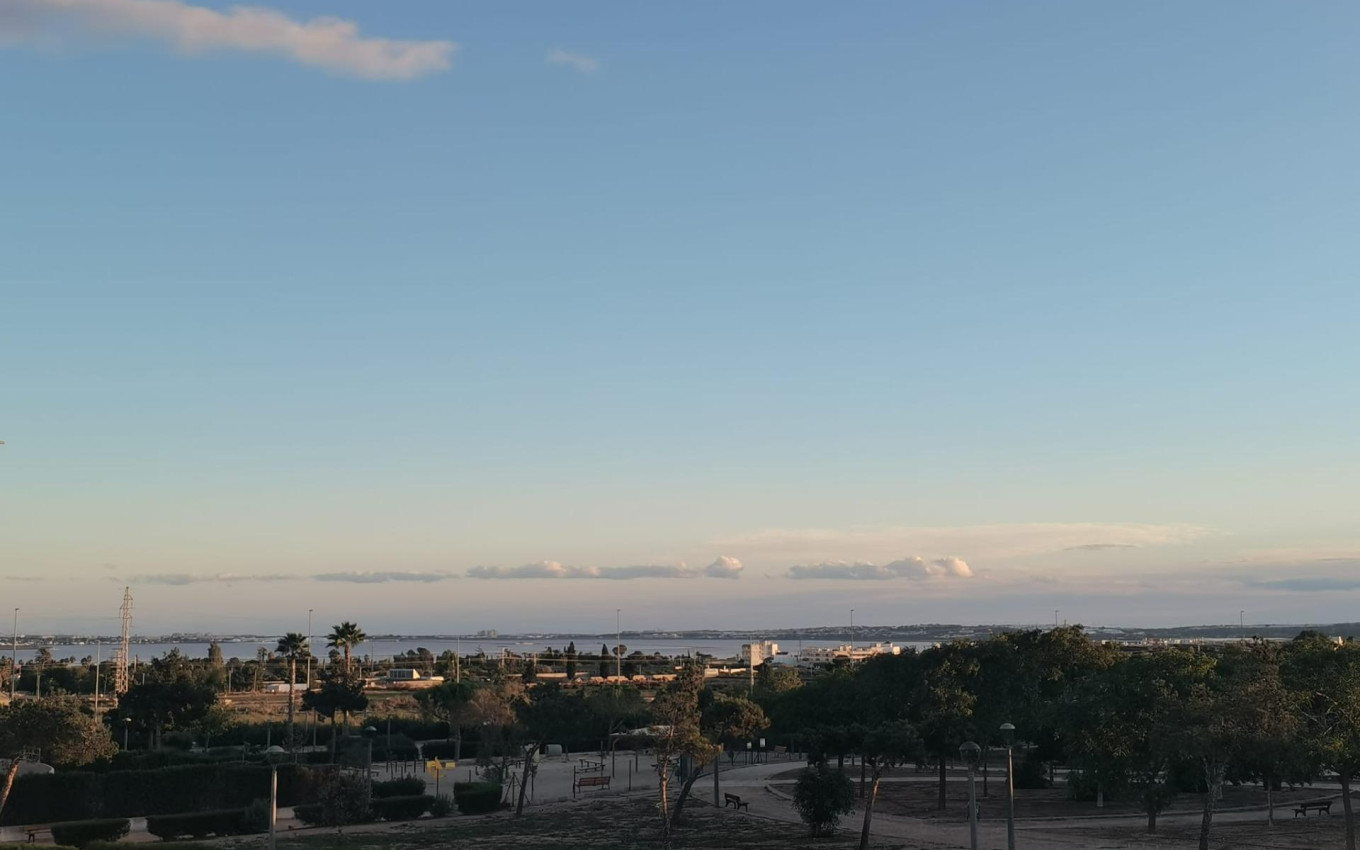 Nouvelle construction - Villa - Los Montesinos - La herrada