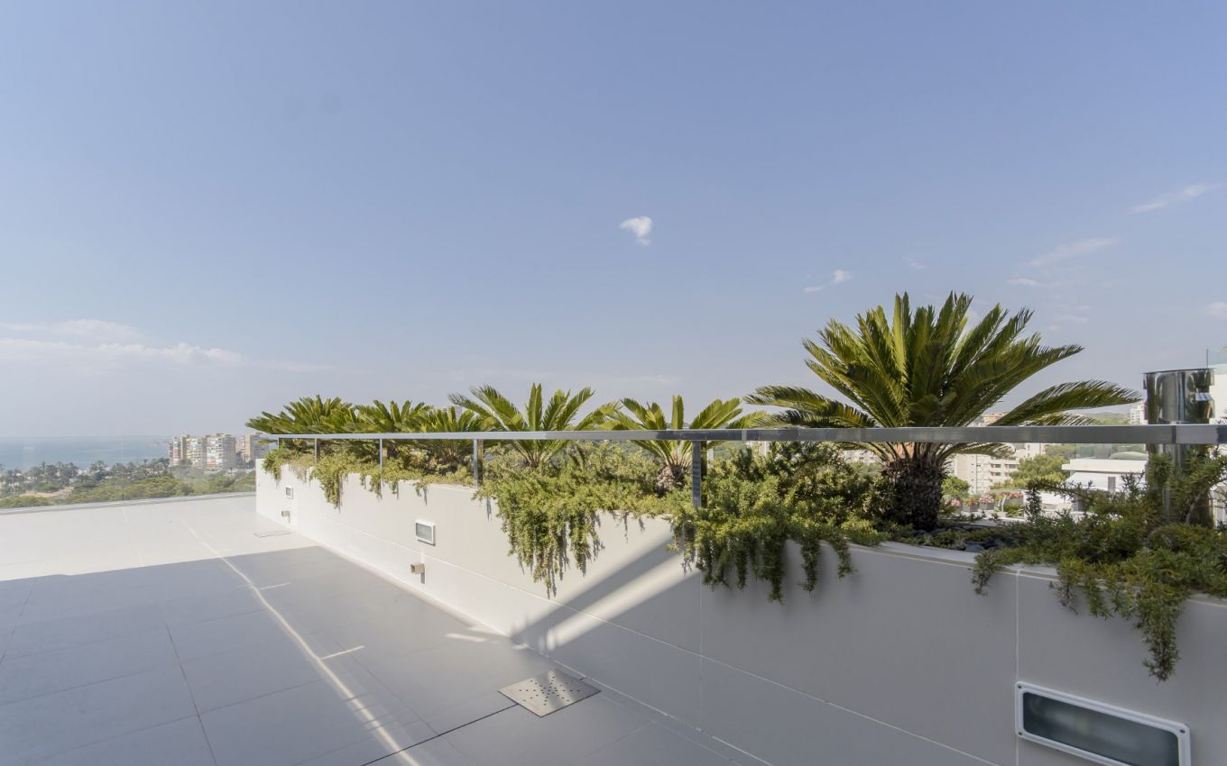 Nouvelle construction - Villa - Orihuela Costa - Dehesa de Campoamor
