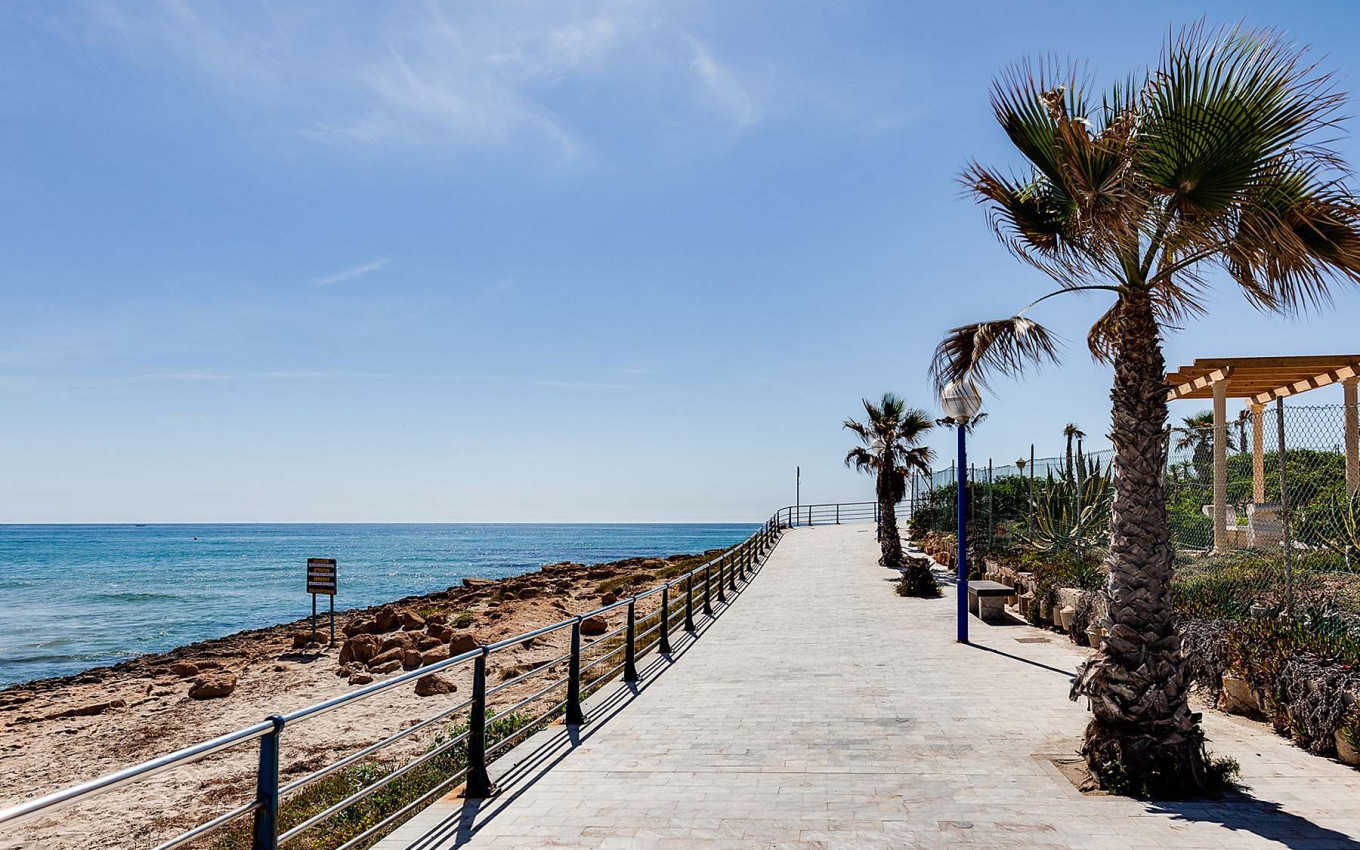 Nouvelle construction - Villa - Orihuela Costa - La Zenia