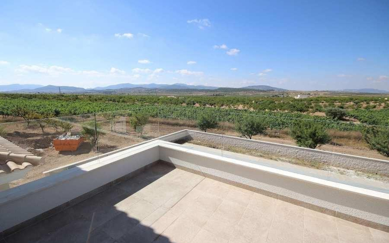 Nouvelle construction - Villa - Pinoso - Camino Del Prado