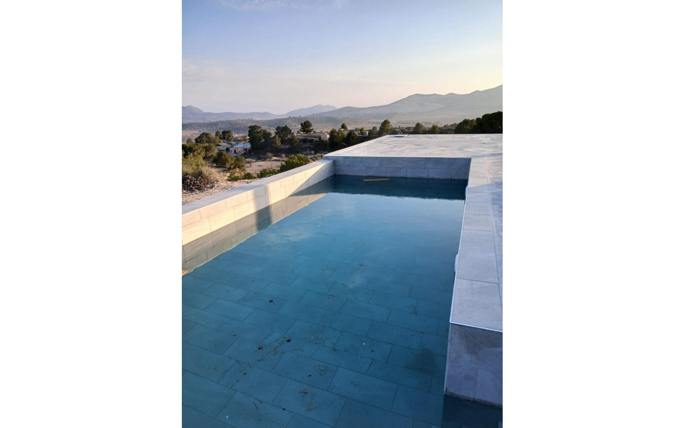 Nouvelle construction - Villa - Pinoso - Casas Pastor