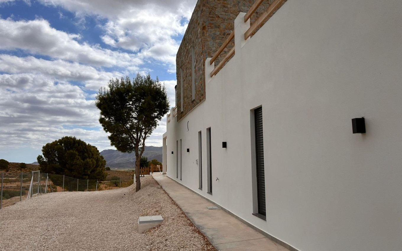 Nouvelle construction - Villa - Pinoso - Casas Pastor