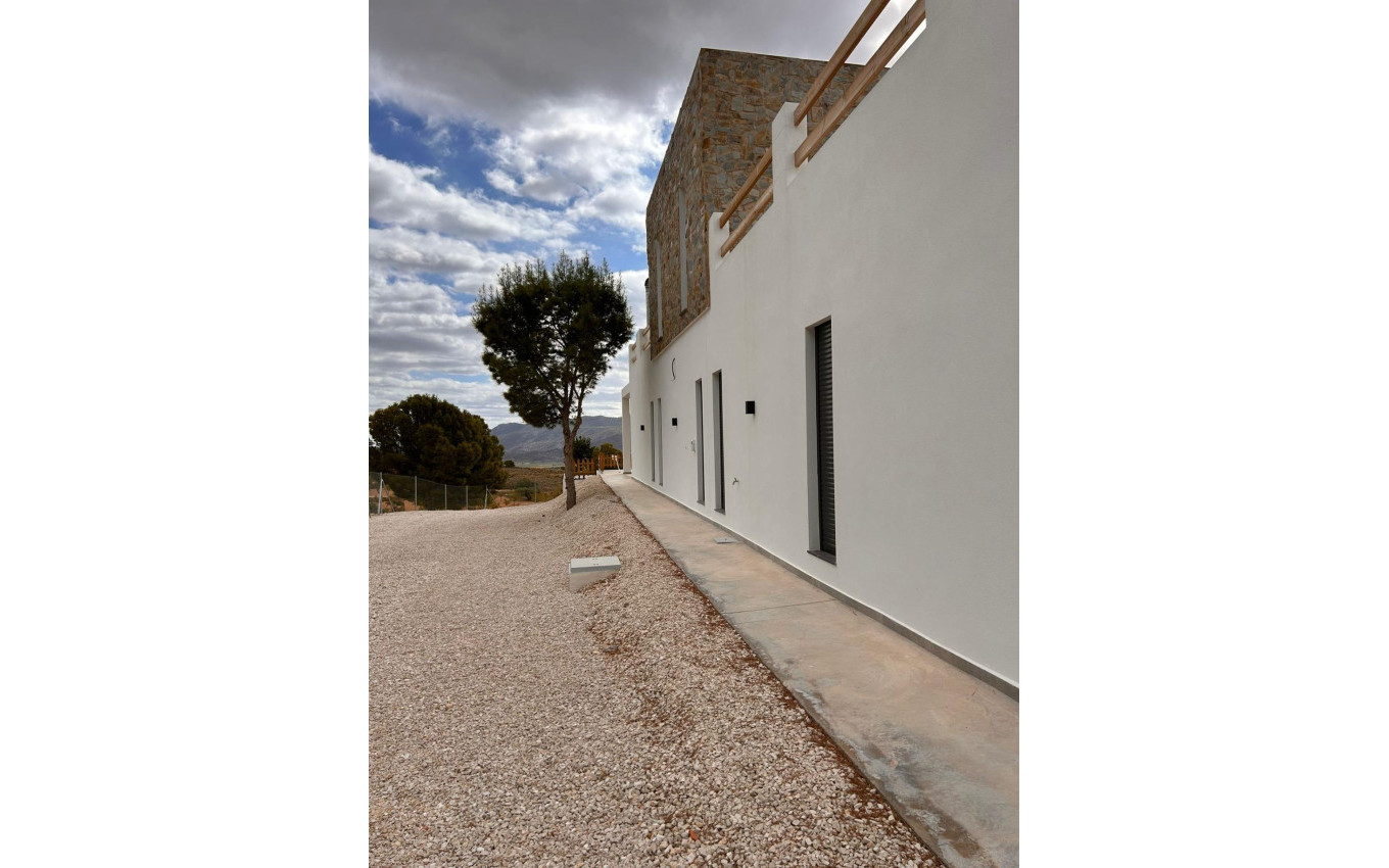 Nouvelle construction - Villa - Pinoso - Casas Pastor
