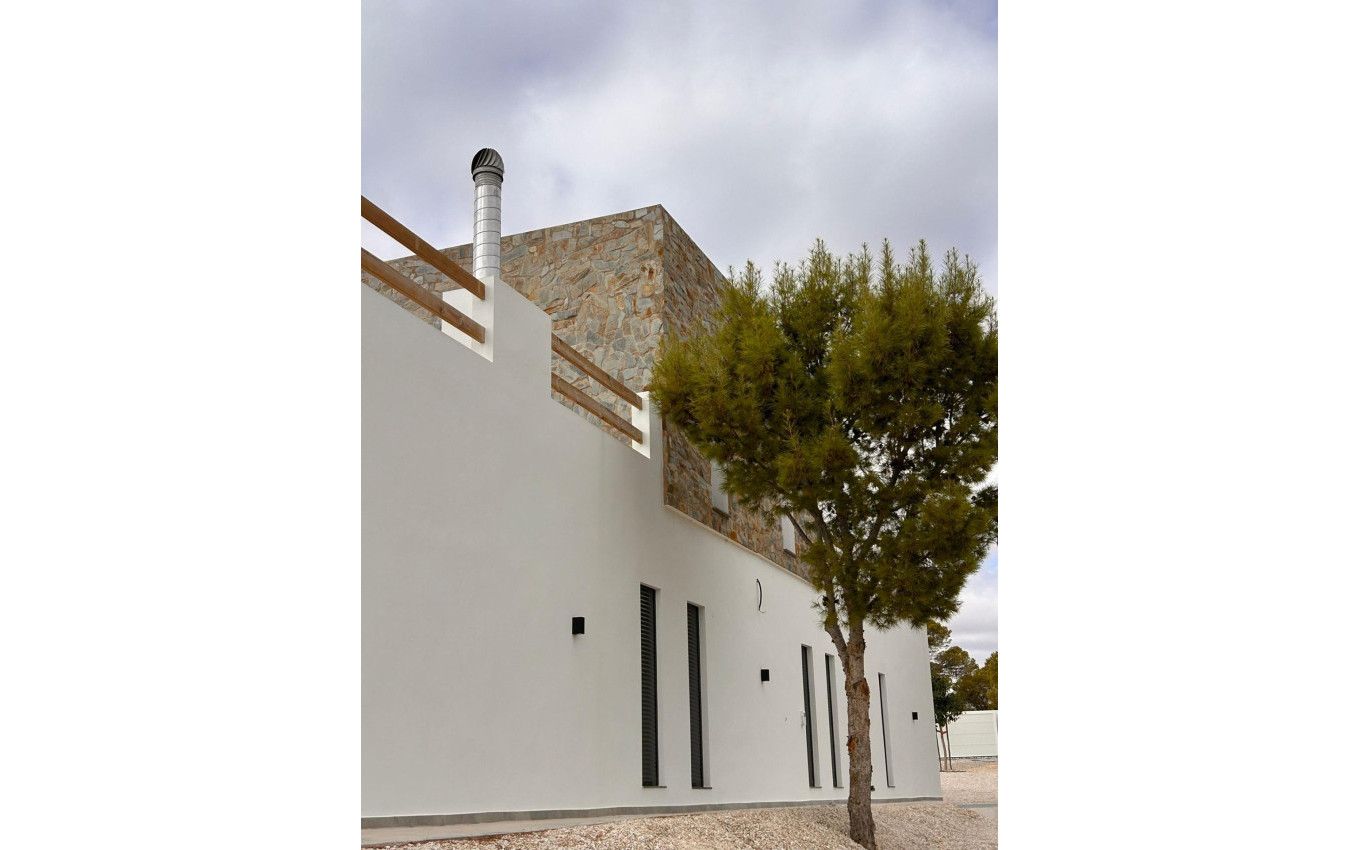 Nouvelle construction - Villa - Pinoso - Casas Pastor