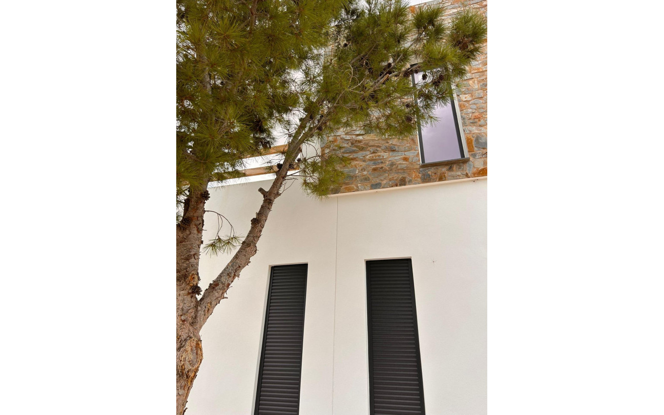 Nouvelle construction - Villa - Pinoso - Casas Pastor