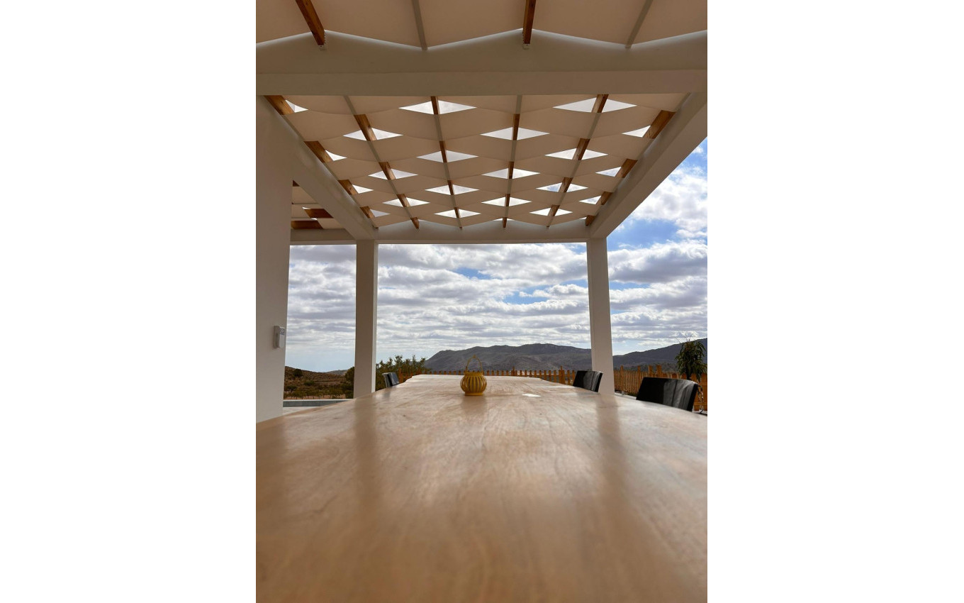 Nouvelle construction - Villa - Pinoso - Casas Pastor