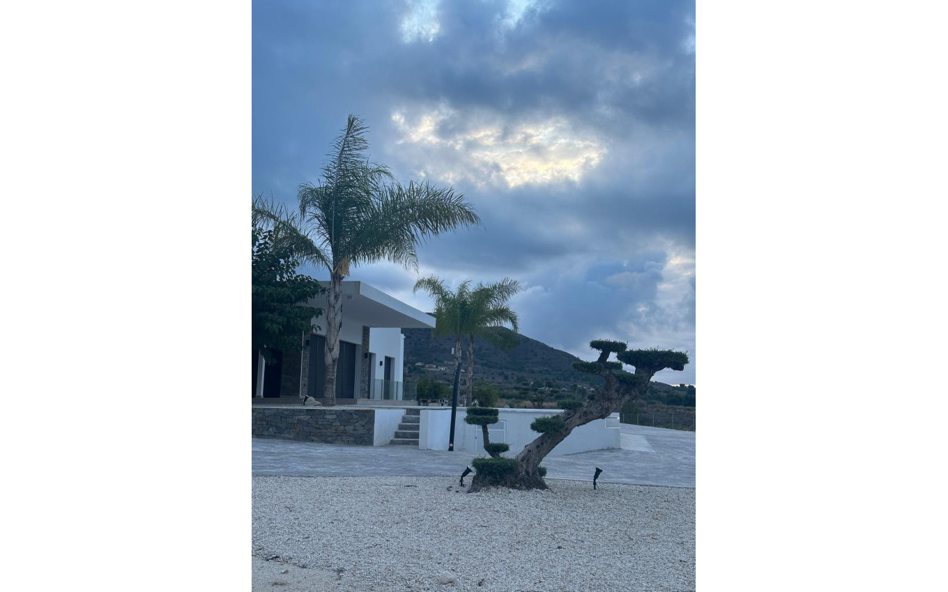 Nouvelle construction - Villa - Pinoso - Casas Pastor