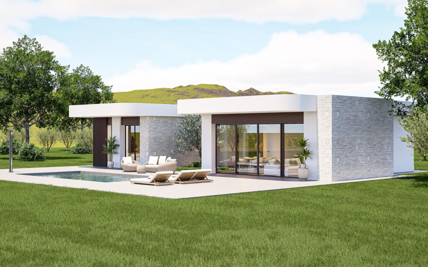 Nouvelle construction - Villa - Pinoso - Lel