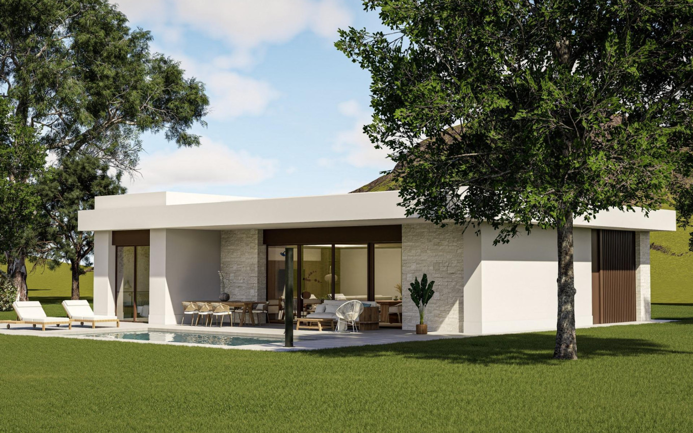 Nouvelle construction - Villa - Pinoso - Lel
