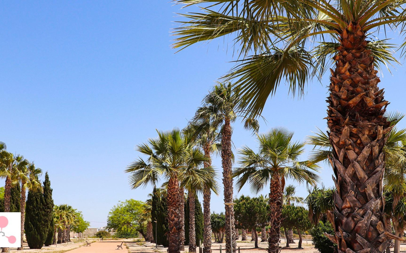 Nouvelle construction - Villa - San Fulgencio - La Escuera