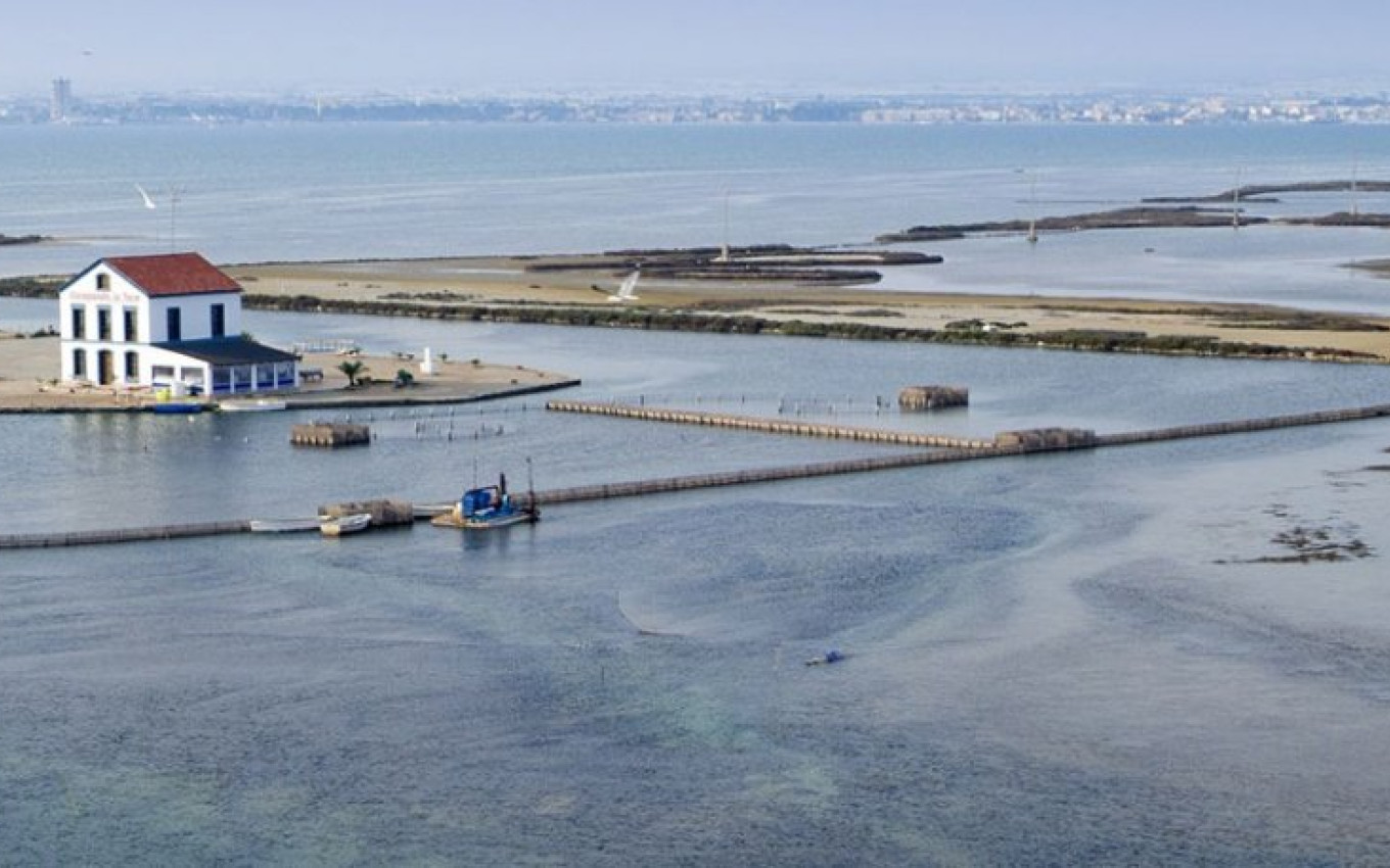 Nouvelle construction - Villa - San Pedro del Pinatar - El salero