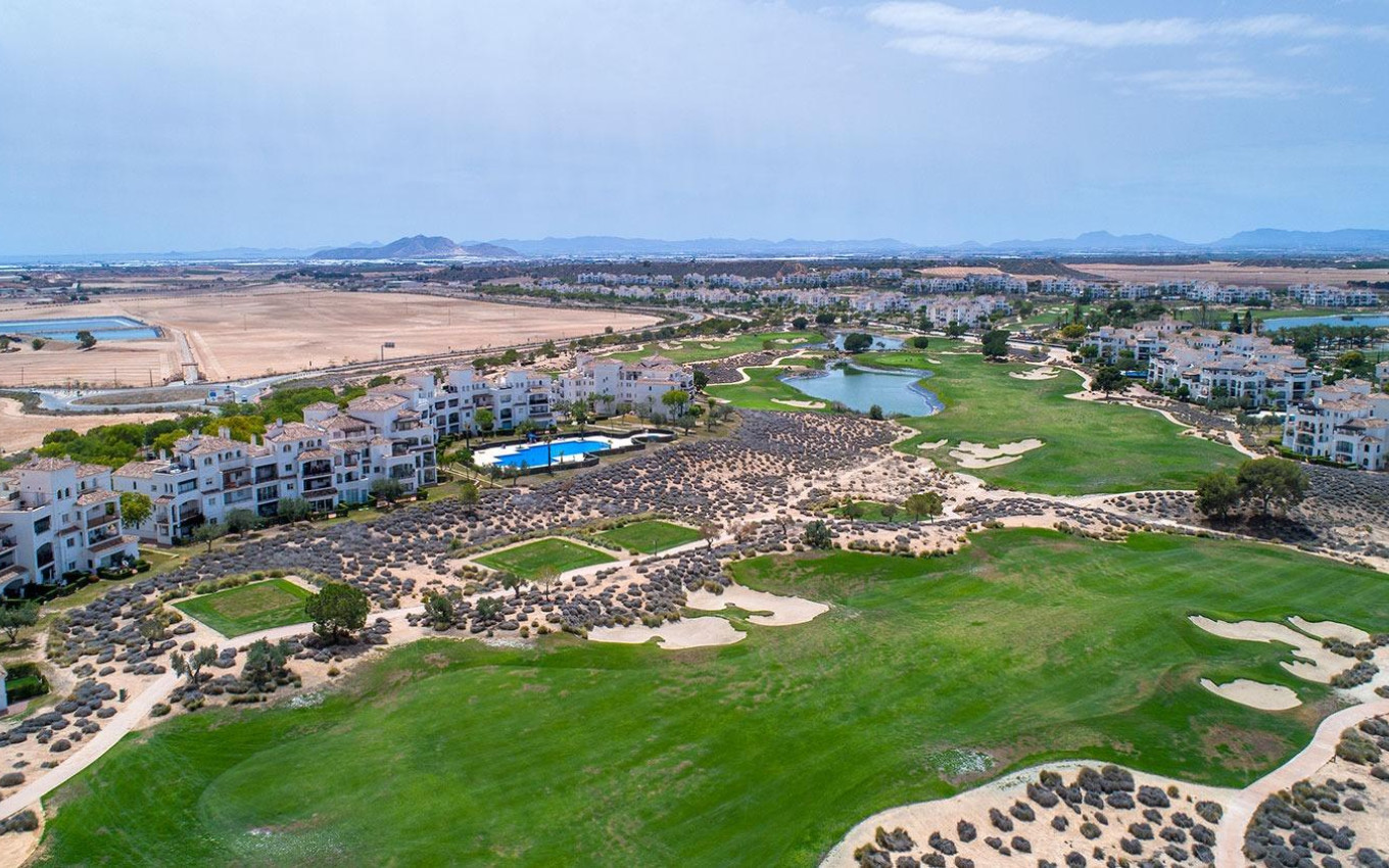 Nouvelle construction - Villa - Sucina